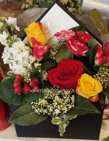 Letterfló assortita