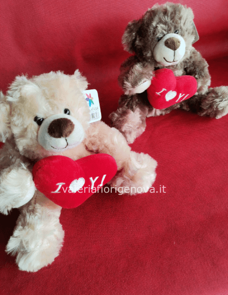 Peluche orso