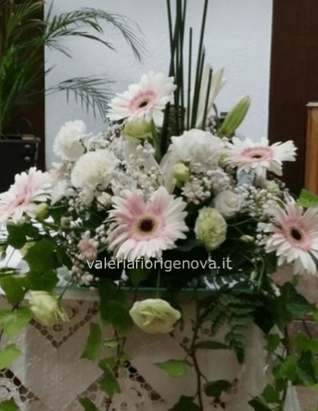 Composizione special moment 